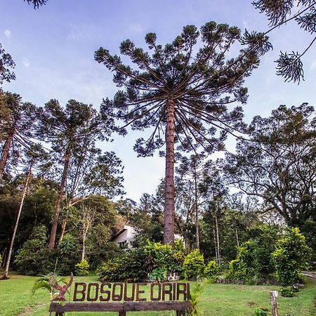 Hotel Bosque Oriri à Reboucas Extérieur photo